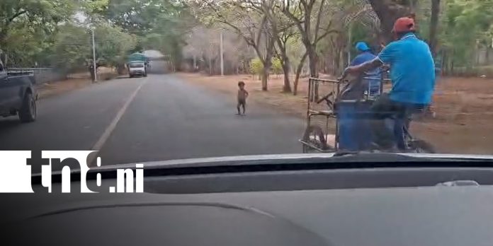 Foto: Niño queda expuesto al tránsito en Tipitapa y causa preocupación/TN8 Foto: Niño queda expuesto al tránsito en Tipitapa y causa preocupación/TN8
