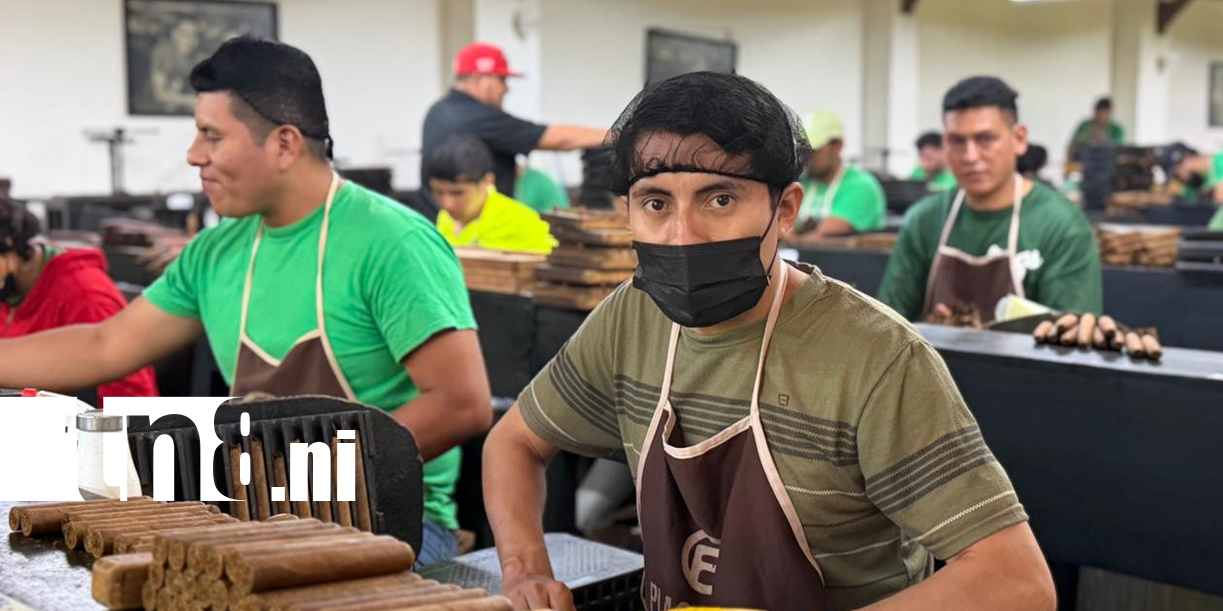 Foto: Estelí se viste de gala con la tercera edición de la “Fiesta del Tabaco” /TN8