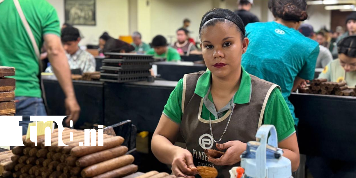 Foto: Estelí se viste de gala con la tercera edición de la “Fiesta del Tabaco” /TN8