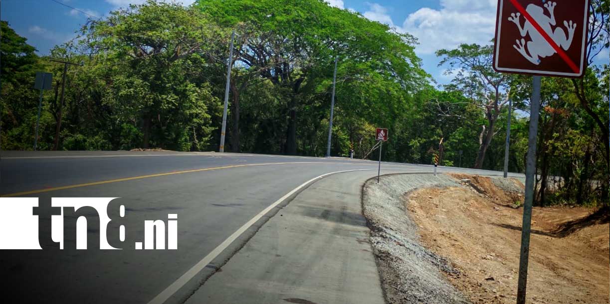 Foto: En Rivas Instalan puentes aéreos para proteger monos en la carretera Costanera/TN8