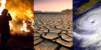 Foto: Cambio climático / Cortesía