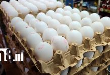 Mercados de Nicaragua garantizan estabilidad en los alimentos