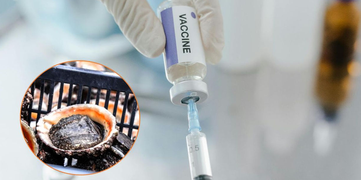 Foto: Chile prueba vacuna contra cáncer de piel/ Cortesía