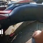 Foto: Matagalpa: Universitario muere en accidente /TN8