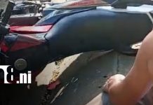 Jovencito de 20 años muere al estrellarse contra un poste de concreto en Matagalpa Foto: Matagalpa: Universitario muere en accidente /TN8