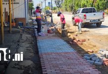 León avanza hacia la modernización vial con construcción de calle de cuatro carriles Foto: Vial: León moderniza calle de cuatro carriles/TN8