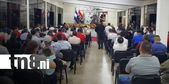 Foto: Nueva Segovia arrasa en la Taza de la Excelencia del café nicaragüense/TN8