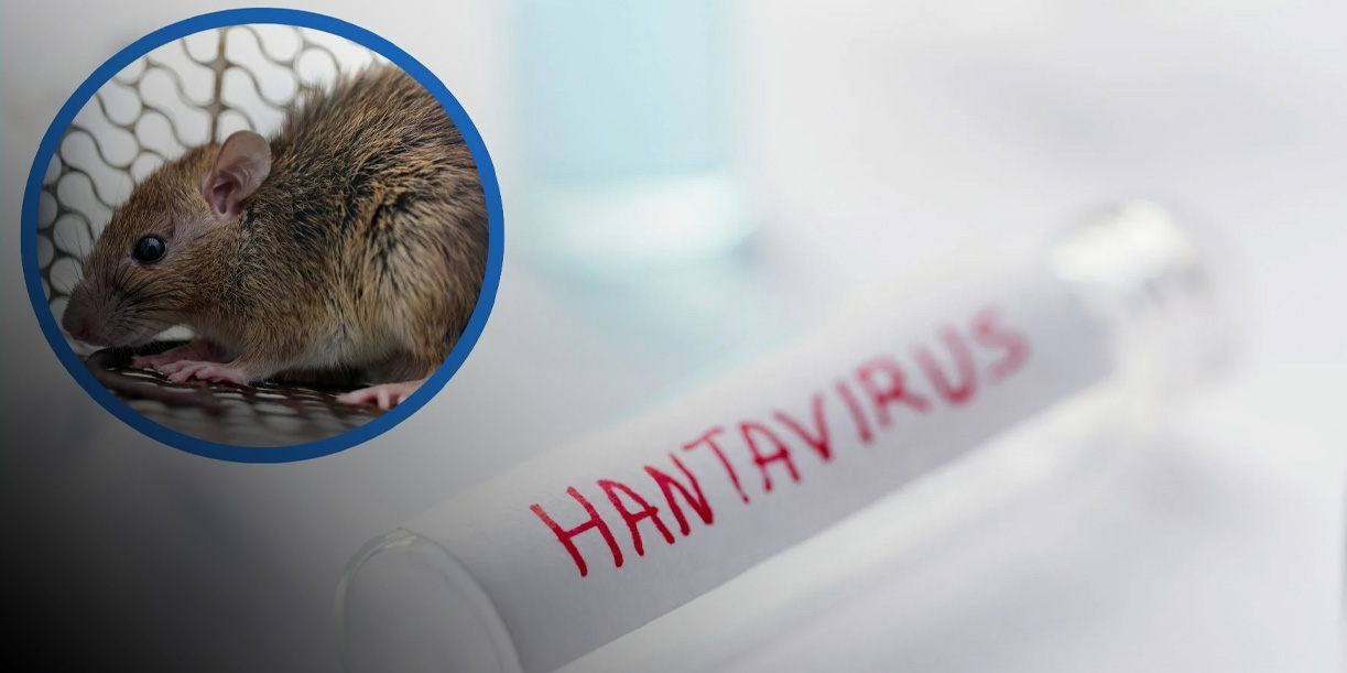 Foto: Alerta por hantavirus /cortesía