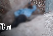 Fatal accidente de tránsito cobra la vida de joven en carretera hacia San Roque, Estelí Foto: Fatal accidente de tránsito cobra la vida de joven en carretera hacia San Roque, Estelí/TN8