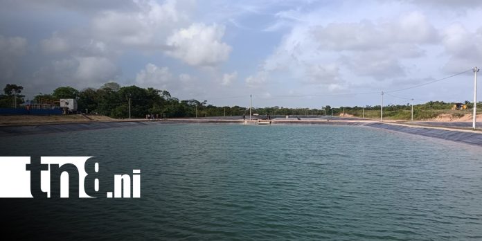 2 Foto: Megaproyecto de saneamiento en Bluefields alcanza el 92% de ejecución/TN8