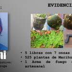 Foto: Policía Nacional asesta duros golpes al narcotráfico en Jinotega / TN8