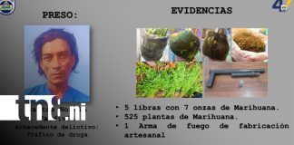 Foto: Policía Nacional asesta duros golpes al narcotráfico en Jinotega / TN8