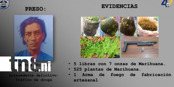 Foto: Policía Nacional asesta duros golpes al narcotráfico en Jinotega / TN8