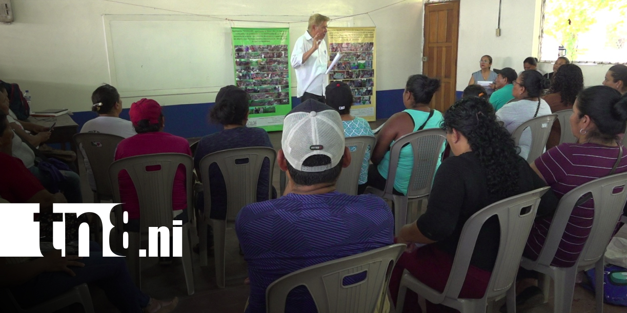 Foto: Mujeres de Moyogalpa transforman el plátano en oportunidad de negocio/TN8