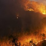 Foto: Fuego afecta la mayor reserva ecológica de España /Cortesía