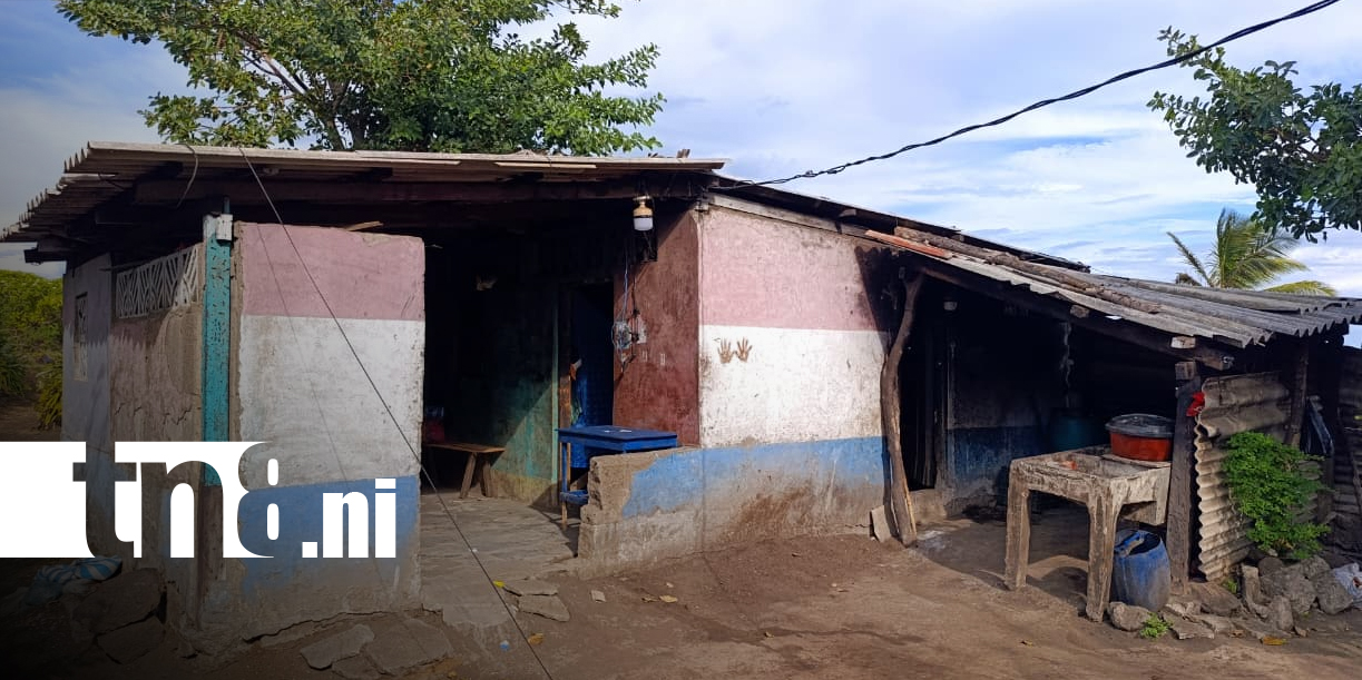 Foto: Ayuda para adulta mayor que necesita reparar su casa/TN8