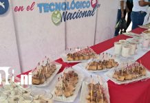 Dulces y tradición: festival gastronómico rinde homenaje a las madres en Ometepe Foto: Festival resalta cultura y amor a las madres en Ometepe /TN8