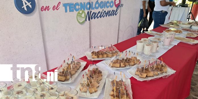 Foto: Festival resalta cultura y amor a las madres en Ometepe /TN8