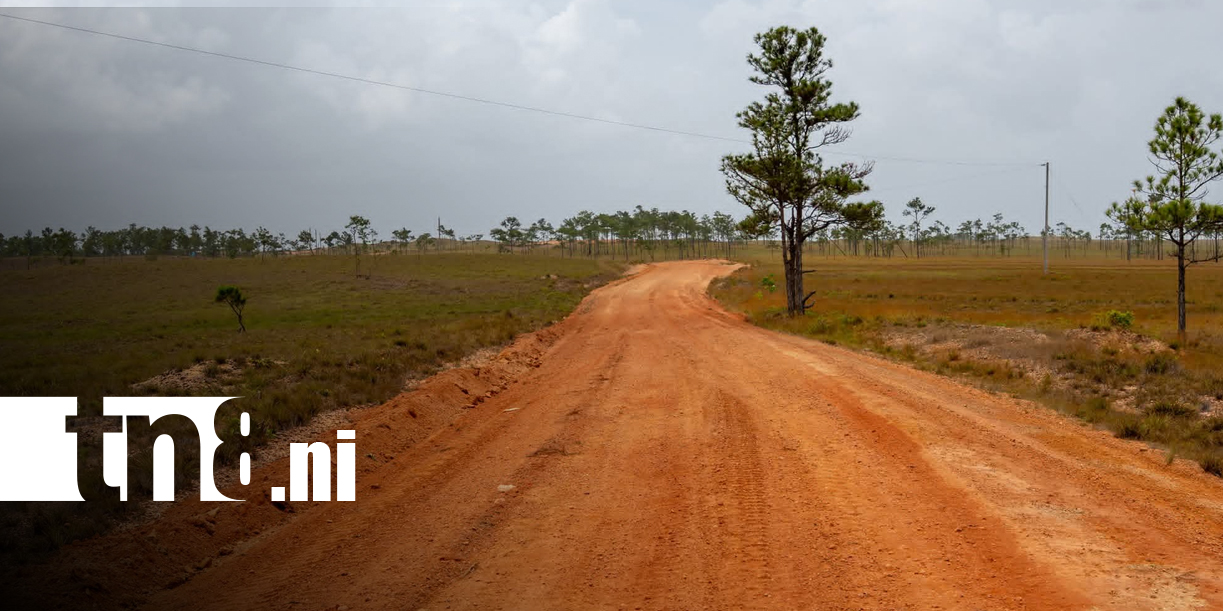 Foto: Alcaldía de Puerto Cabezas inaugura rehabilitación de 17.5 km de caminos productivos/TN8