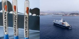 Foto: Hantavirus: crucero rumbo a Canarias/ Cortesía