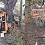 Solo fue el susto: bus se estrella contra un árbol en carretera San Carlos – Managua Foto: Tremedno susto al impactar contra un árbol en San Carlos – Managua /TN8