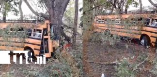 Foto: Tremedno susto al impactar contra un árbol en San Carlos – Managua /TN8