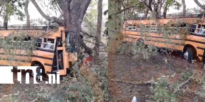 Foto: Tremedno susto al impactar contra un árbol en San Carlos – Managua /TN8 Foto: Tremedno susto al impactar contra un árbol en San Carlos – Managua /TN8