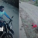 Foto:Dos niños lesionados tras atropello en Jalapa/ TN8
