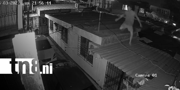3 Foto: Capturan a dos presuntos ladrones en Jardines de Veracruz, Managua/TN8