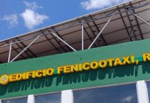 Fenicootaxi celebra 32 años con promociones, rifas y sorpresas para sus clientes Foto: Fenicootaxi celebra a lo grande sus 32 años de fundación / TN8