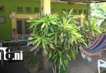 Atractiva oferta turística para celebrar el Día de las Madres en la Isla de Ometepe Foto: Atractiva oferta turística para celebrar el Día de las Madres en la Isla de Ometepe/TN8