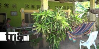 Foto: Atractiva oferta turística para celebrar el Día de las Madres en la Isla de Ometepe/TN8