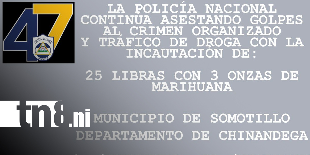 Foto: Marihuana ocupada en Somotillo supera 25 libras/TN8