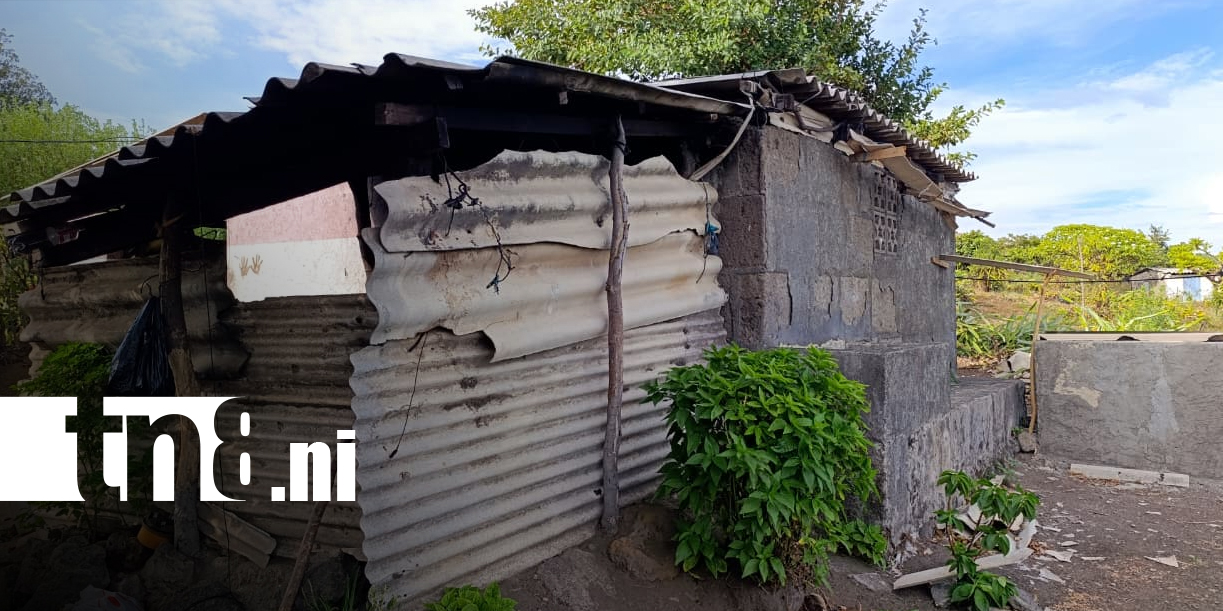 Foto: Ayuda para adulta mayor que necesita reparar su casa/TN8