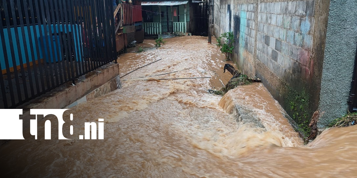 Foto: Fuertes lluvias provocaron inundaciones en Bonanza/TN8