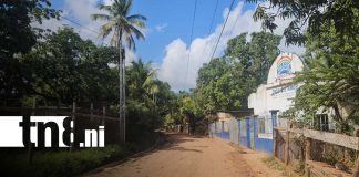 Foto: Adoquinado Bilwi impulsa obras viales y desarrollo/TN8