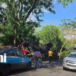 Foto: Fuerte accidente en Teustepe deja camión ganadero y bus involucrados/TN8