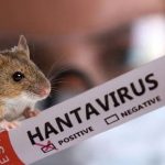 Foto: Argentina confirma 45 casos de hantavirus /Cortesía