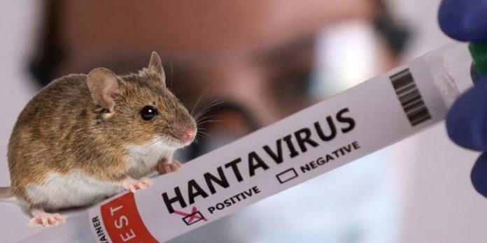 Foto: Argentina confirma 45 casos de hantavirus /Cortesía Foto: Argentina confirma 45 casos de hantavirus /Cortesía