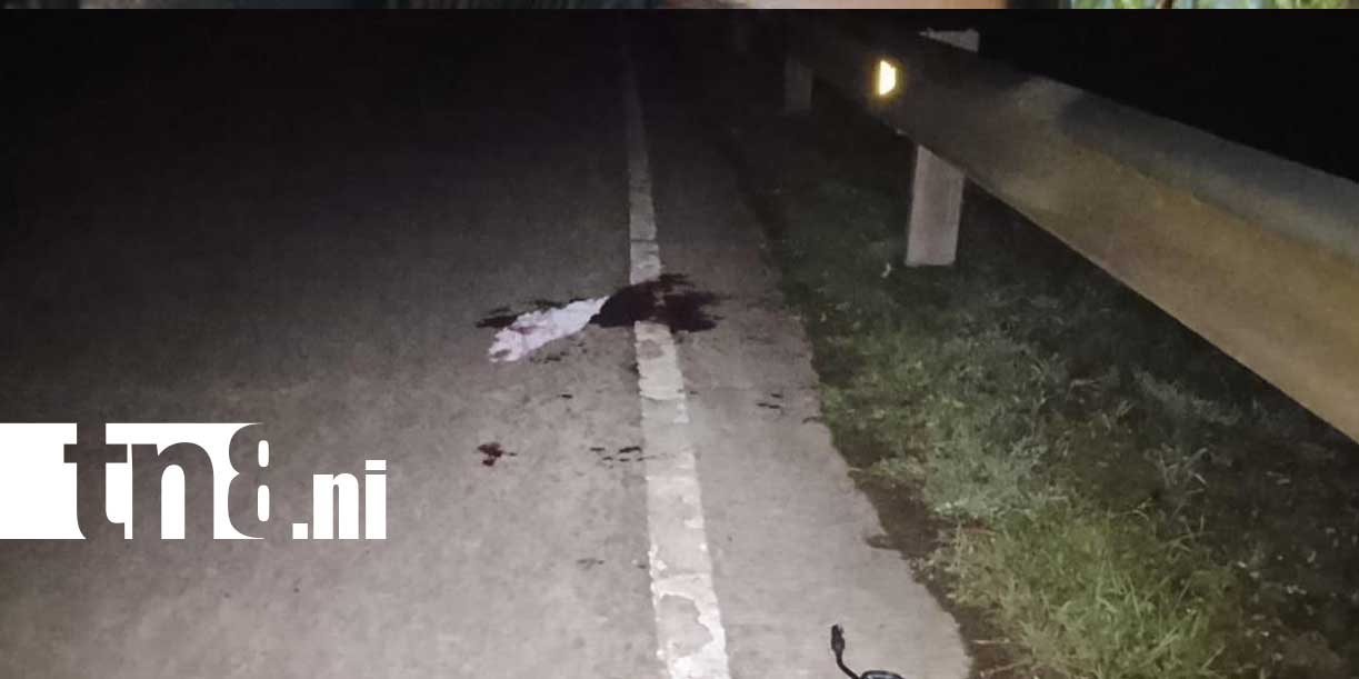 Foto: Animal suelto en carretera cobra la vida de una mujer en Bluefields/TN8
