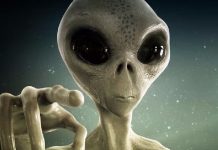 “Hay al menos cuatro tipos”: la impactante declaración sobre extraterrestres Foto: ¿Existen cuatro tipos de especies extraterrestres? /Cortesía