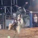 Foto: Pisoteado por un toro en Brasil /Cortesía