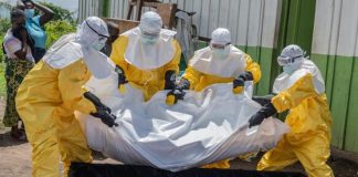 Foto: La OMS revela cuán letal es el brote de ébola /Cortesía