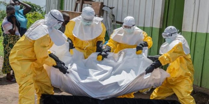 Foto: La OMS revela cuán letal es el brote de ébola /Cortesía Foto: La OMS revela cuán letal es el brote de ébola /Cortesía