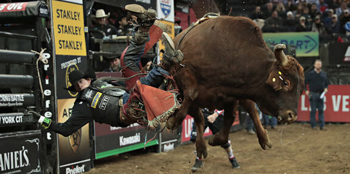 Foto: Pisoteado por un toro en Brasil /Cortesía