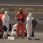 Foto: Hantavirus enciende las alarmas en Francia /Cortesía