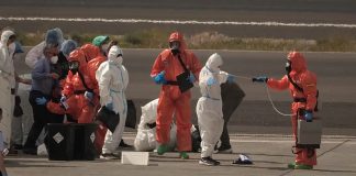 Foto: Hantavirus enciende las alarmas en Francia /Cortesía