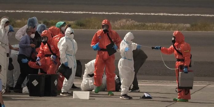 Foto: Hantavirus enciende las alarmas en Francia /Cortesía