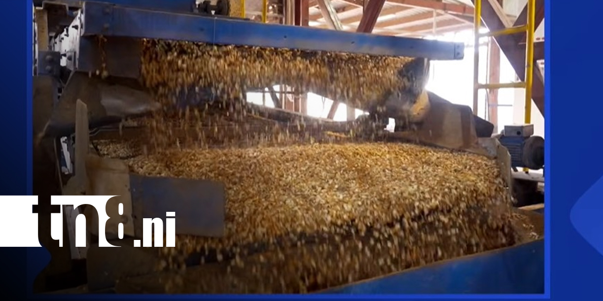 Foto: Feria agrícola telica 2026 reúne al sector agroindustrial/TN8