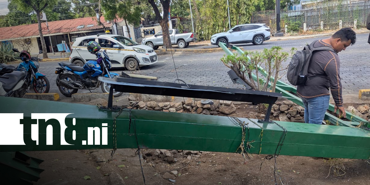 Foto : Accidente en El Chele deja daños en poste y semáforos/TN8